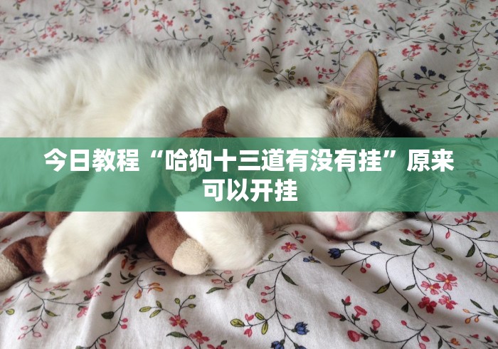 辅助挂机软件“微乐江西麻将开挂有吗”(透视)其实确实有挂