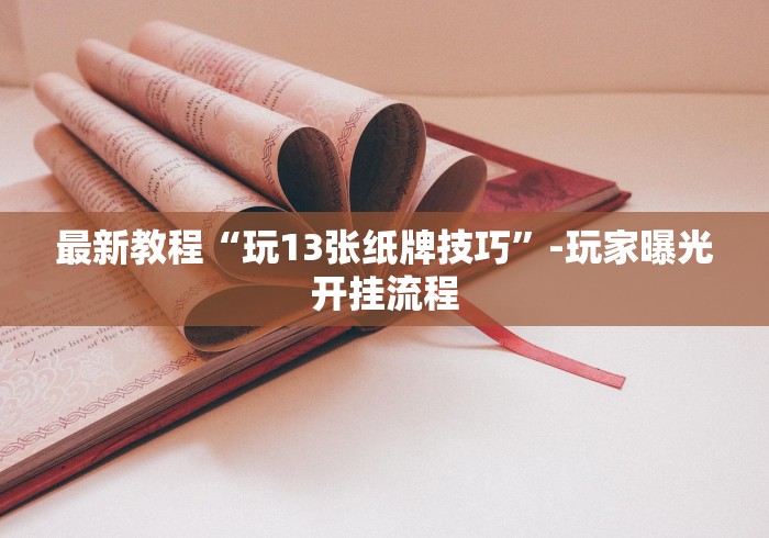 最新教程“玩13张纸牌技巧”-玩家曝光开挂流程