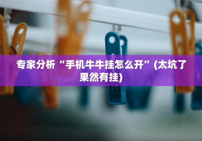 专家分析“手机牛牛挂怎么开”(太坑了果然有挂)