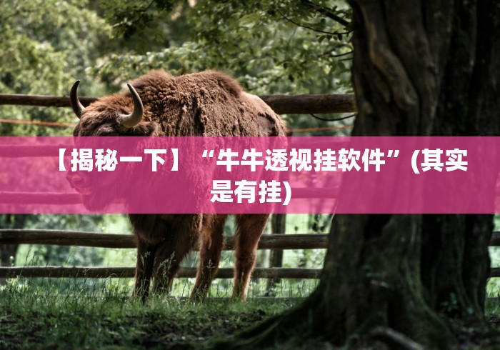 【揭秘一下】“牛牛透视挂软件”(其实是有挂)