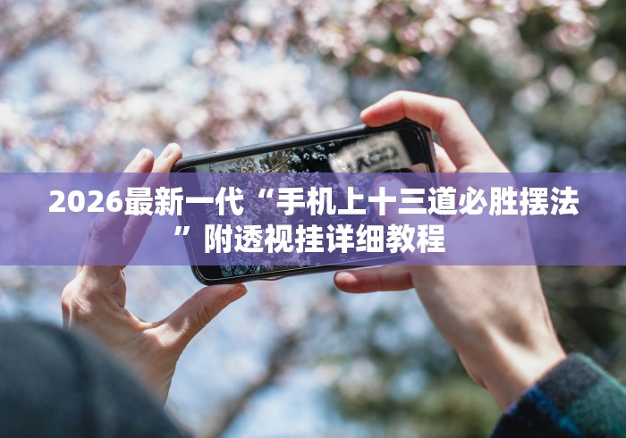 2026最新一代“手机上十三道必胜摆法”附透视挂详细教程 