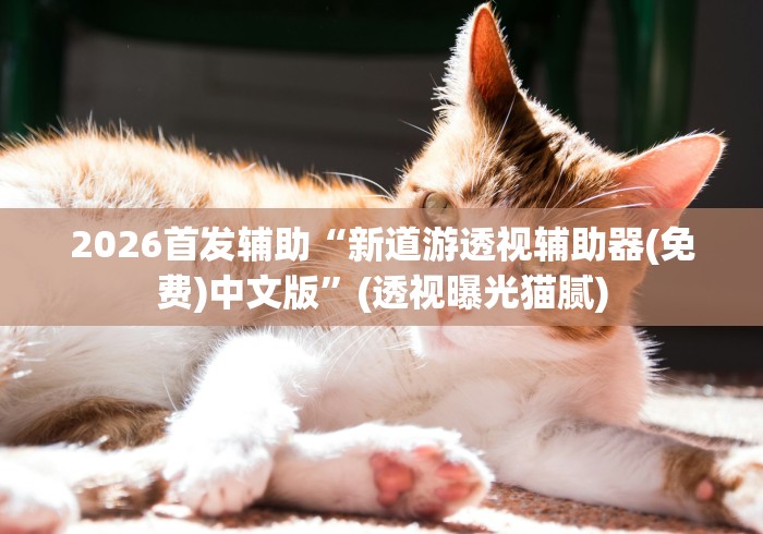 2026首发辅助“新道游透视辅助器(免费)中文版”(透视曝光猫腻)