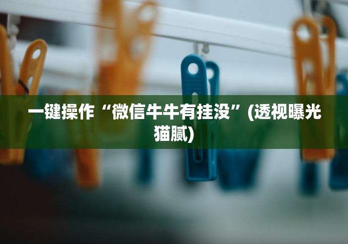 一键操作“微信牛牛有挂没”(透视曝光猫腻)