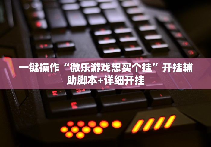一键操作“微乐游戏想买个挂”开挂辅助脚本+详细开挂