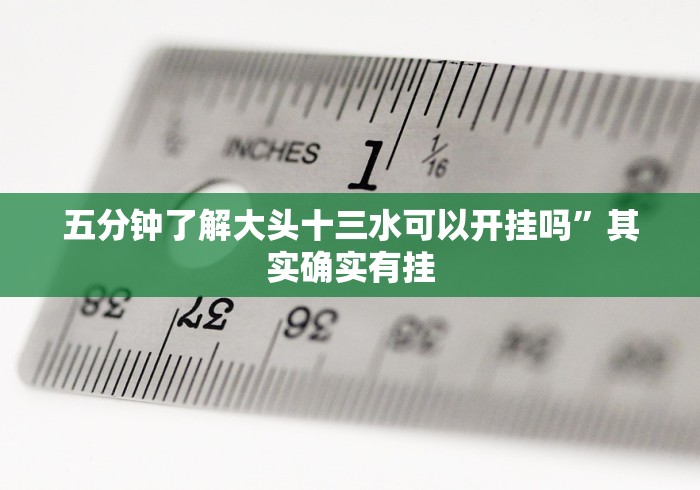 五分钟了解大头十三水可以开挂吗”其实确实有挂