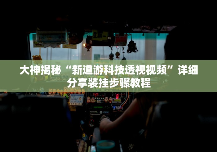 大神揭秘“新道游科技透视视频”详细分享装挂步骤教程