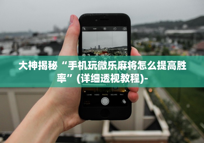 大神揭秘“手机玩微乐麻将怎么提高胜率”(详细透视教程)-