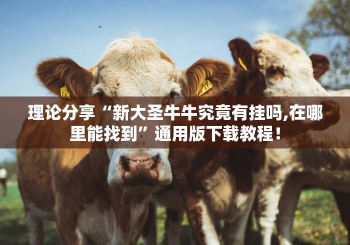 理论分享“新大圣牛牛究竟有挂吗,在哪里能找到”通用版下载教程！
