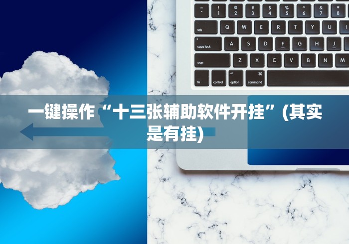 一键操作“十三张辅助软件开挂”(其实是有挂)