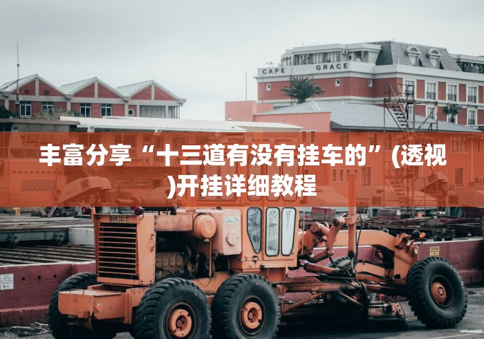 丰富分享“十三道有没有挂车的”(透视)开挂详细教程