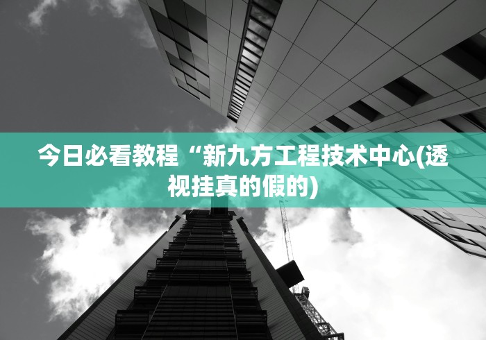 今日必看教程“新九方工程技术中心(透视挂真的假的)