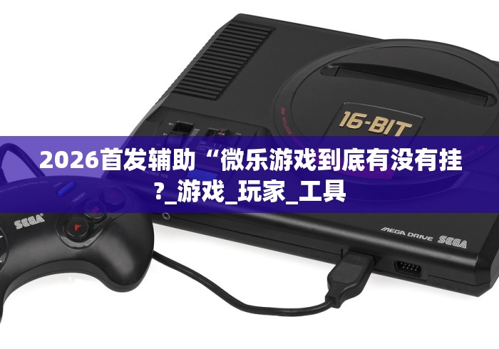 2026首发辅助“微乐游戏到底有没有挂?_游戏_玩家_工具