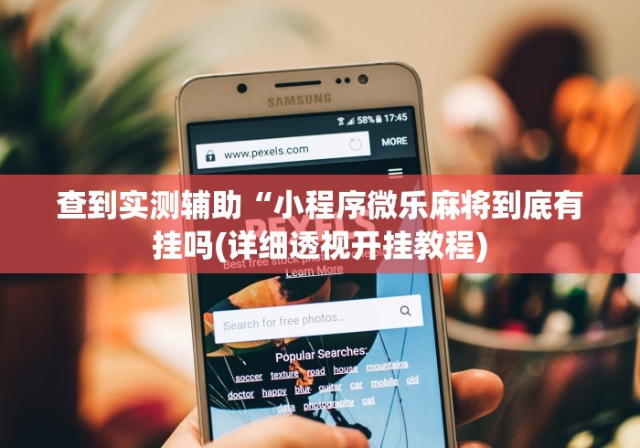 查到实测辅助“小程序微乐麻将到底有挂吗(详细透视开挂教程)