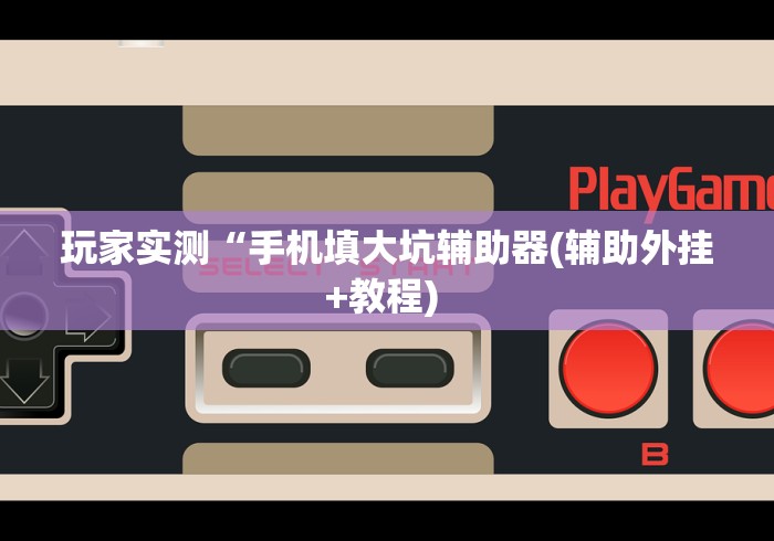 玩家实测“手机填大坑辅助器(辅助外挂+教程) 