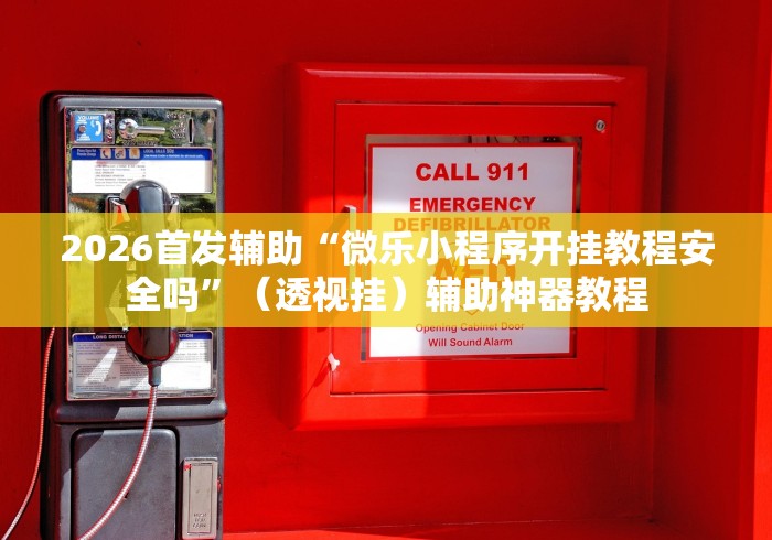 2026首发辅助“微乐小程序开挂教程安全吗”（透视挂）辅助神器教程