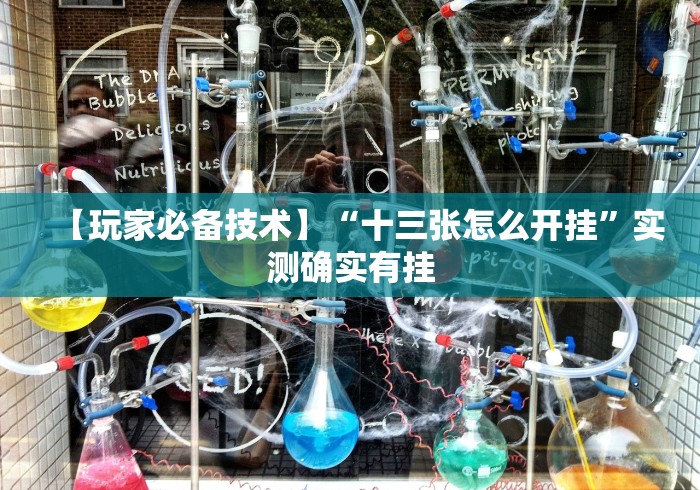 独家脚本实测“微乐打麻将怎么赢”(透视挂)最新辅助详细教程