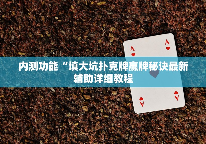 内测功能“填大坑扑克牌赢牌秘诀最新辅助详细教程