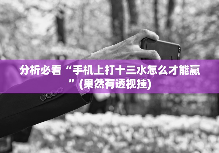 分析必看“手机上打十三水怎么才能赢”(果然有透视挂)