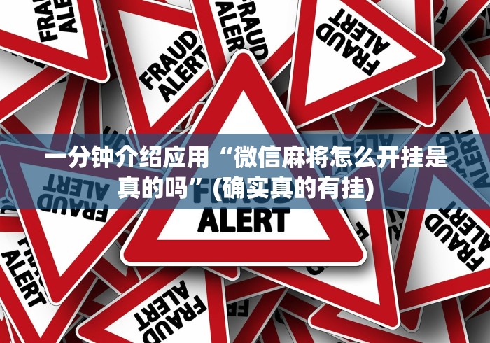 一分钟介绍应用“微信麻将怎么开挂是真的吗”(确实真的有挂)