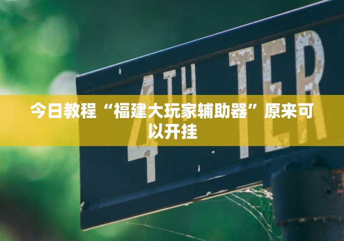今日教程“福建大玩家辅助器”原来可以开挂