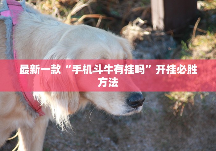 最新一款“手机斗牛有挂吗”开挂必胜方法
