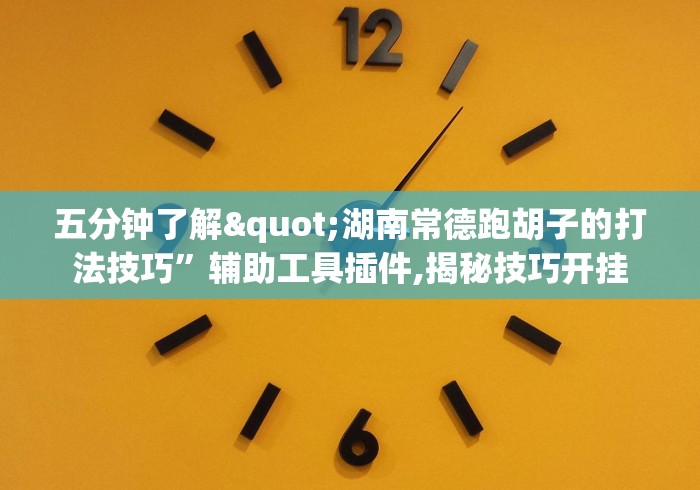 五分钟了解"湖南常德跑胡子的打法技巧”辅助工具插件,揭秘技巧开挂