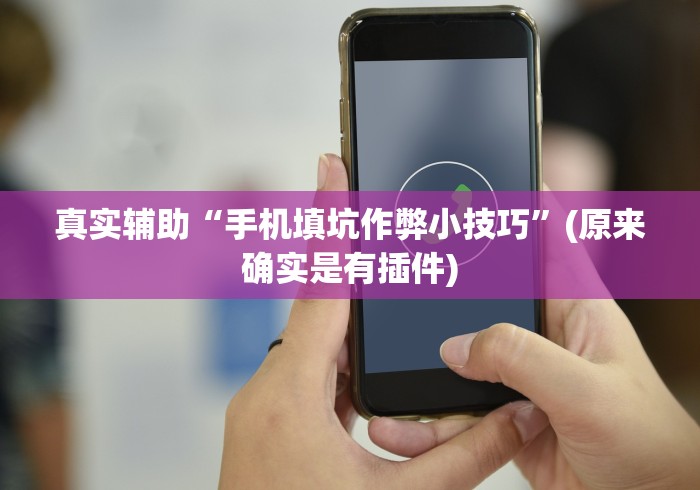 真实辅助“手机填坑作弊小技巧”(原来确实是有插件)