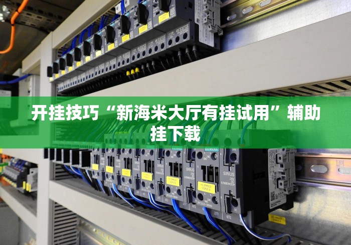 开挂技巧“新海米大厅有挂试用”辅助挂下载
