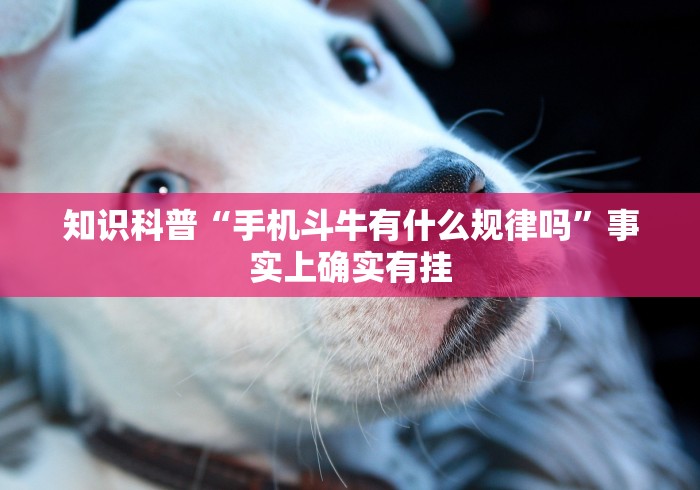 知识科普“手机斗牛有什么规律吗”事实上确实有挂