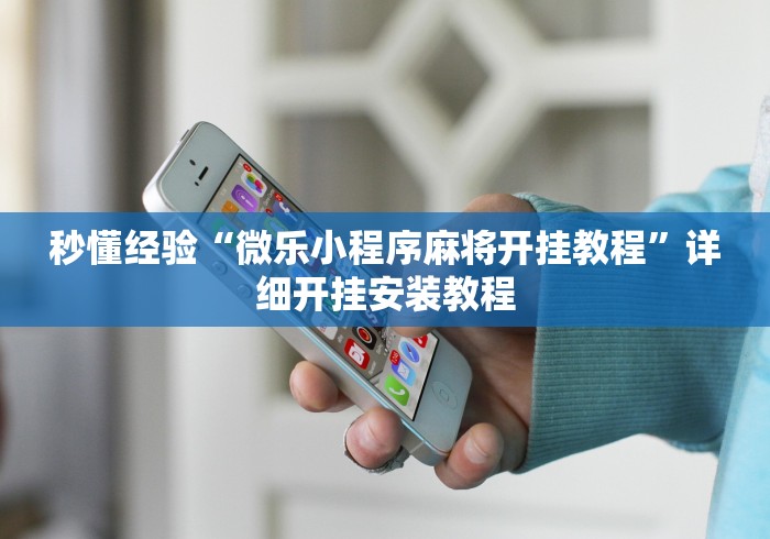 秒懂经验“微乐小程序麻将开挂教程”详细开挂安装教程