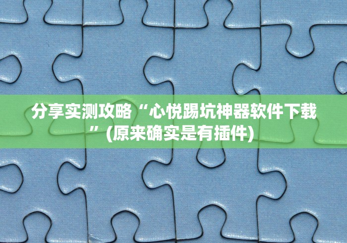 分享实测攻略“心悦踢坑神器软件下载”(原来确实是有插件) 