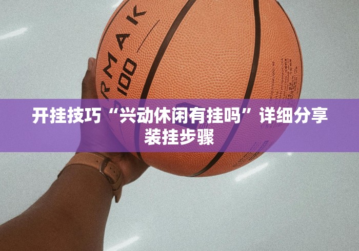 开挂技巧“兴动休闲有挂吗”详细分享装挂步骤