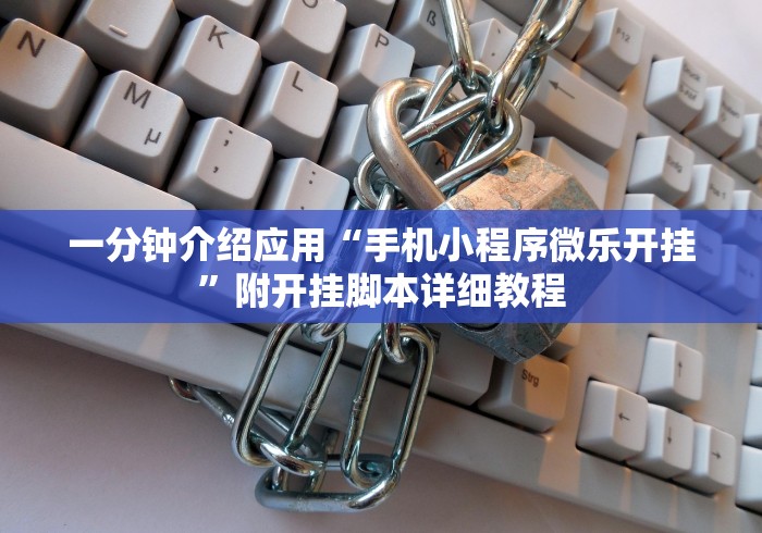 一分钟介绍应用“手机小程序微乐开挂”附开挂脚本详细教程