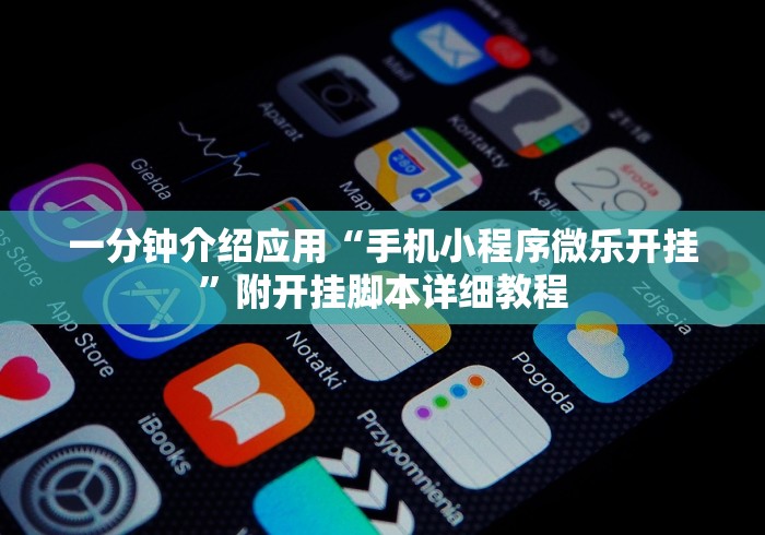 一分钟介绍应用“手机小程序微乐开挂”附开挂脚本详细教程