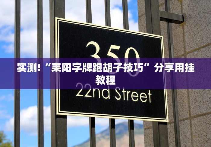 实测!“耒阳字牌跑胡子技巧	”分享用挂教程