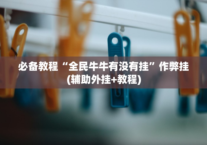 必备教程“全民牛牛有没有挂”作弊挂(辅助外挂+教程)