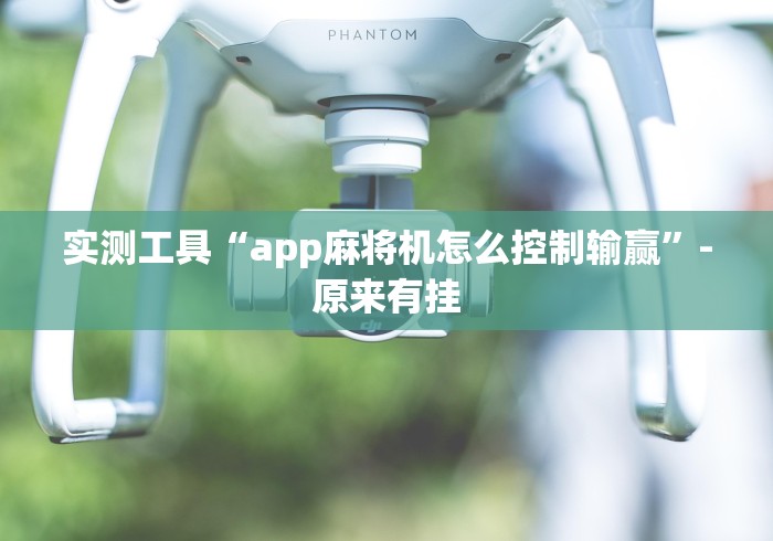 实测工具“app麻将机怎么控制输赢”-原来有挂