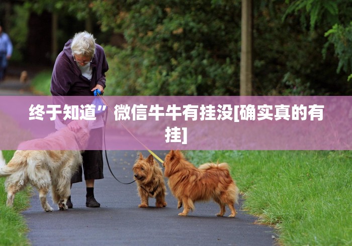 终于知道”微信牛牛有挂没[确实真的有挂]