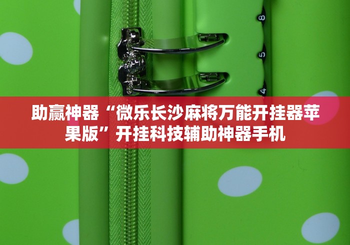 助赢神器“微乐长沙麻将万能开挂器苹果版”开挂科技辅助神器手机