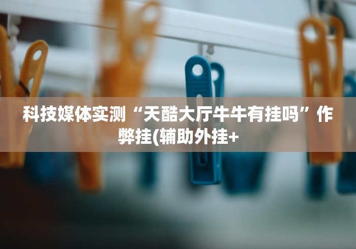 科技媒体实测“天酷大厅牛牛有挂吗”作弊挂(辅助外挂+