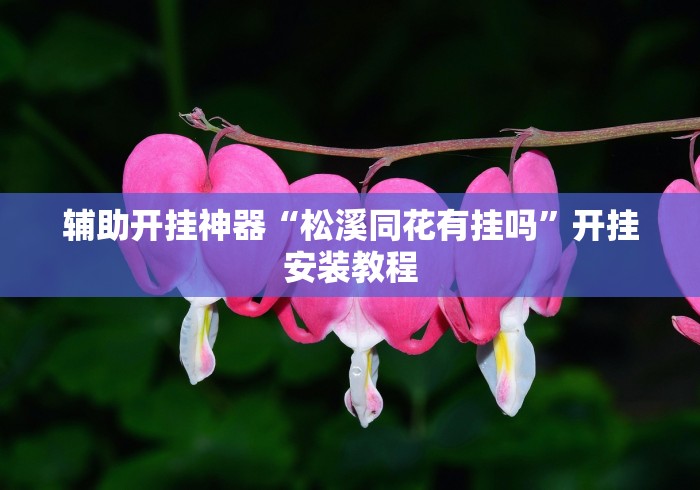 辅助开挂神器“松溪同花有挂吗	”开挂安装教程