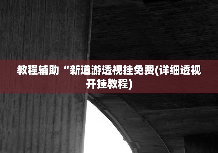 教程辅助“新道游透视挂免费(详细透视开挂教程)