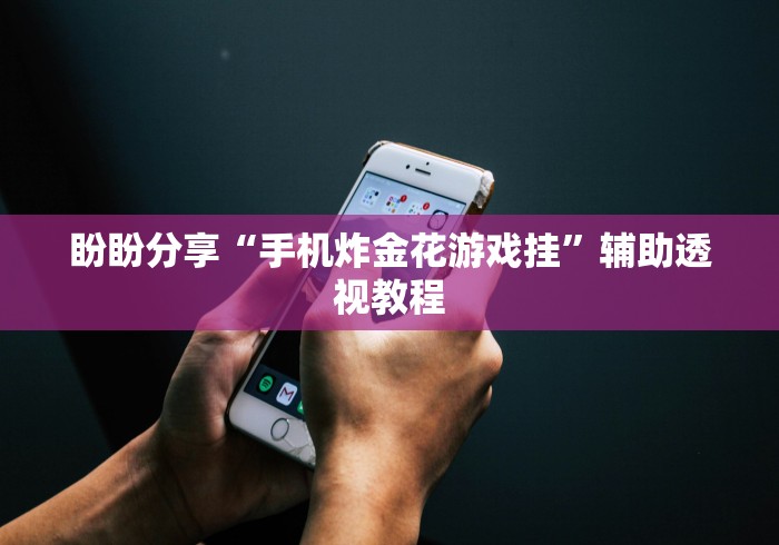 盼盼分享“手机炸金花游戏挂”辅助透视教程