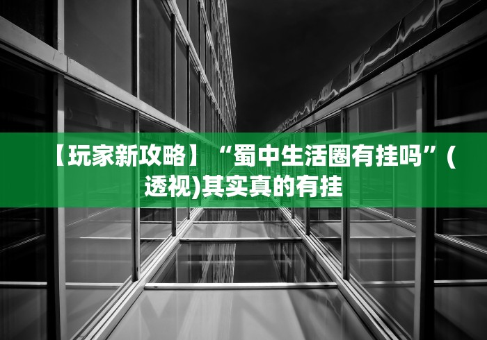 【玩家新攻略】“蜀中生活圈有挂吗”(透视)其实真的有挂