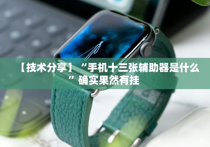 【技术分享】“手机十三张辅助器是什么	”确实果然有挂 