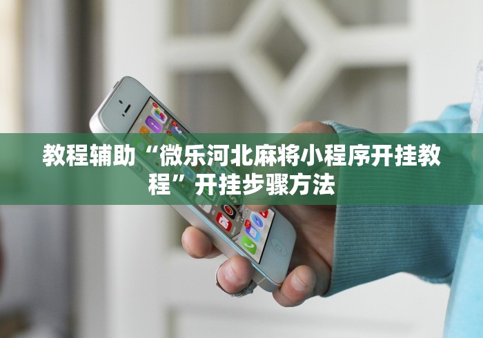 教程辅助“微乐河北麻将小程序开挂教程”开挂步骤方法