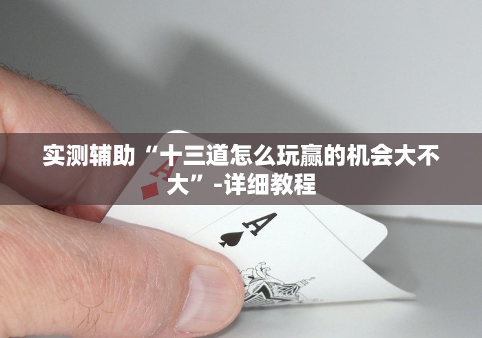 实测辅助“十三道怎么玩赢的机会大不大”-详细教程