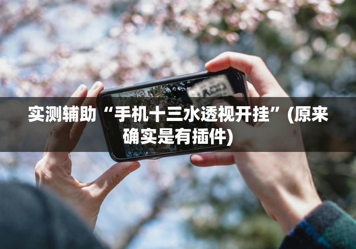 实测辅助“手机十三水透视开挂”(原来确实是有插件)