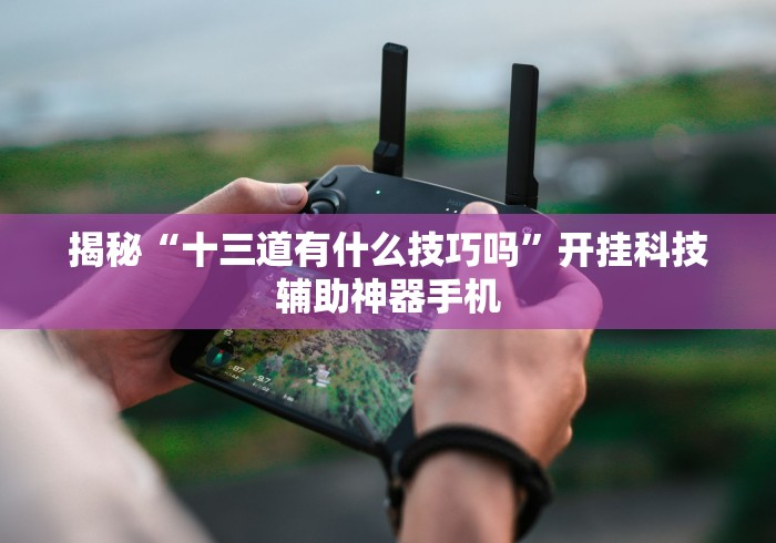 揭秘“十三道有什么技巧吗”开挂科技辅助神器手机