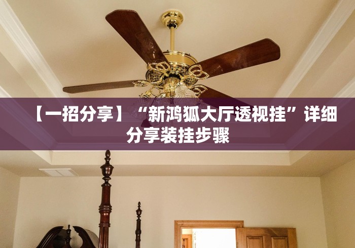 【一招分享】“新鸿狐大厅透视挂”详细分享装挂步骤